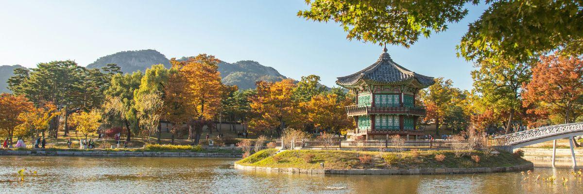 5 Reasons to Visit South Korea